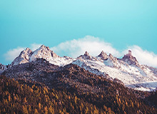 开云之路：把握云端新机遇，开启企业增长的新征程